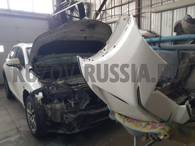 Кузовной ремонт авто Lexus NX200