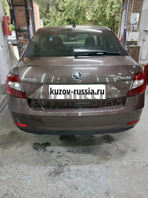 Кузовной ремонт авто Skoda Octavia