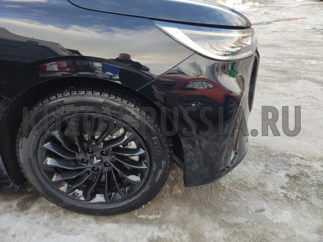 Кузовной ремонт авто Voyah Dream